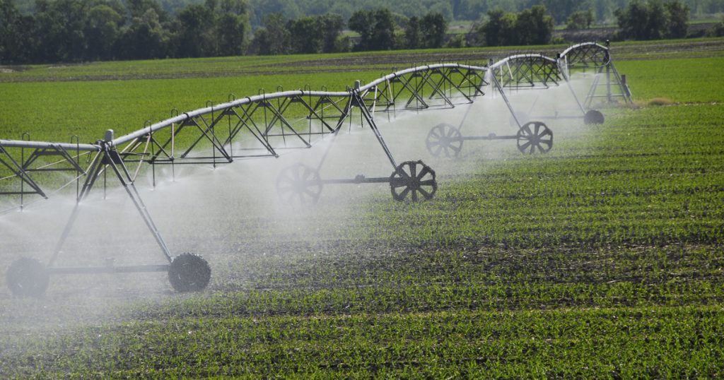 Pivot d'irrigation en action